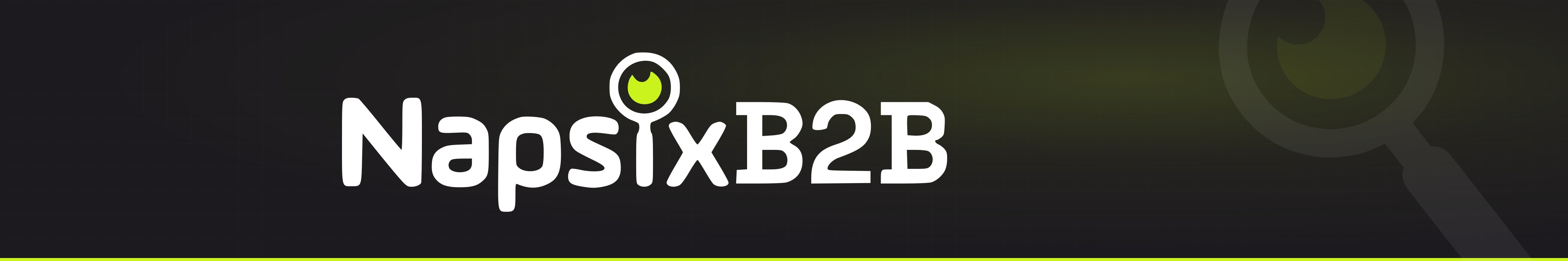 Official NapsixB2B LinkedIn company cover