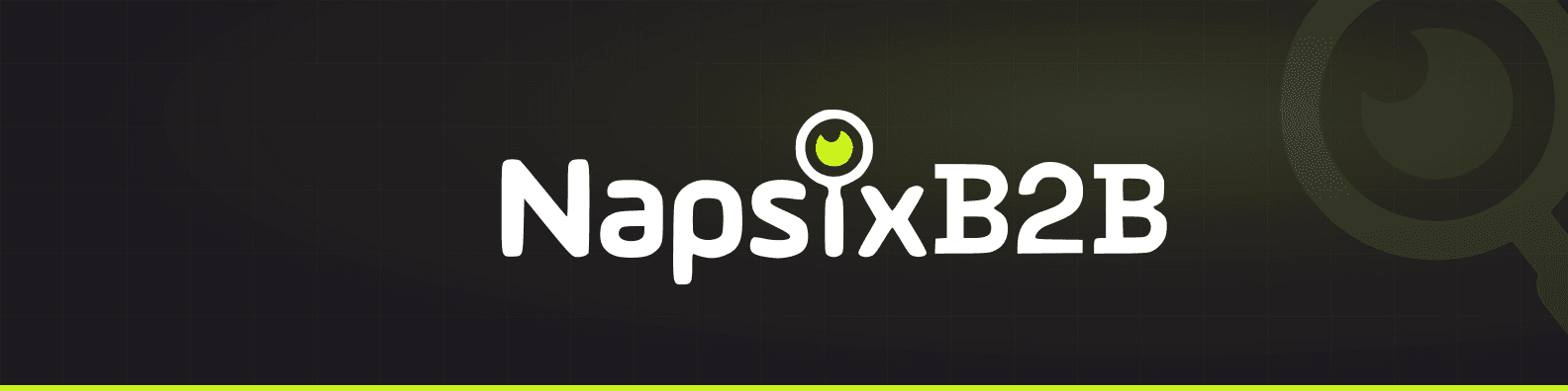 Official NapsixB2B LinkedIn personal profile cover