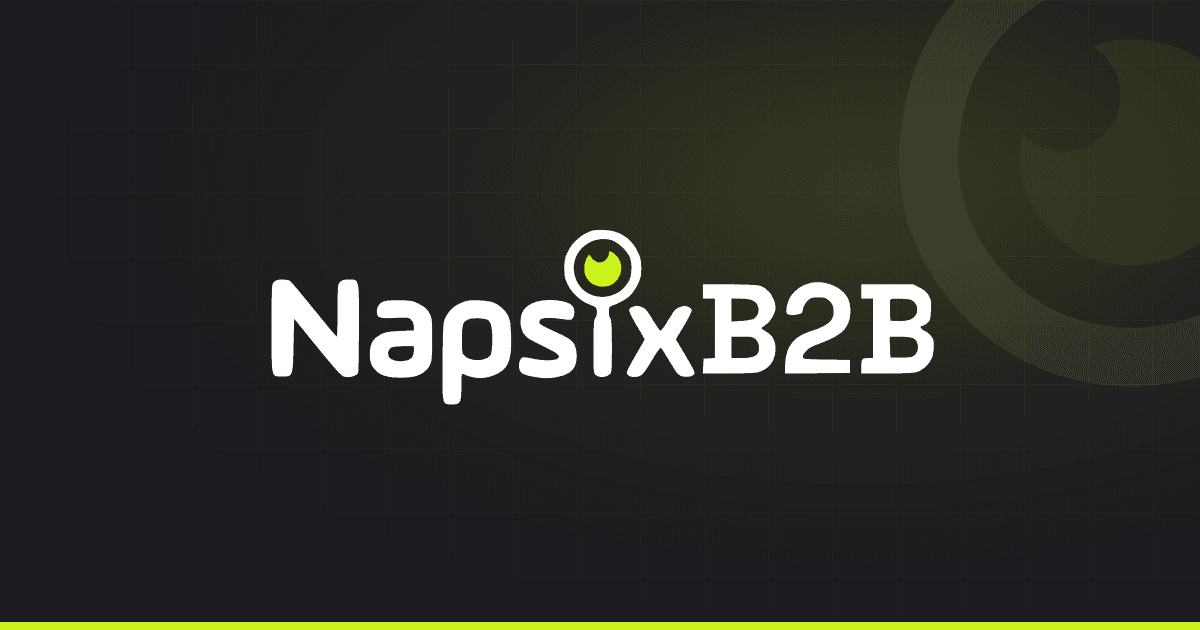 Official NapsixB2B social share card