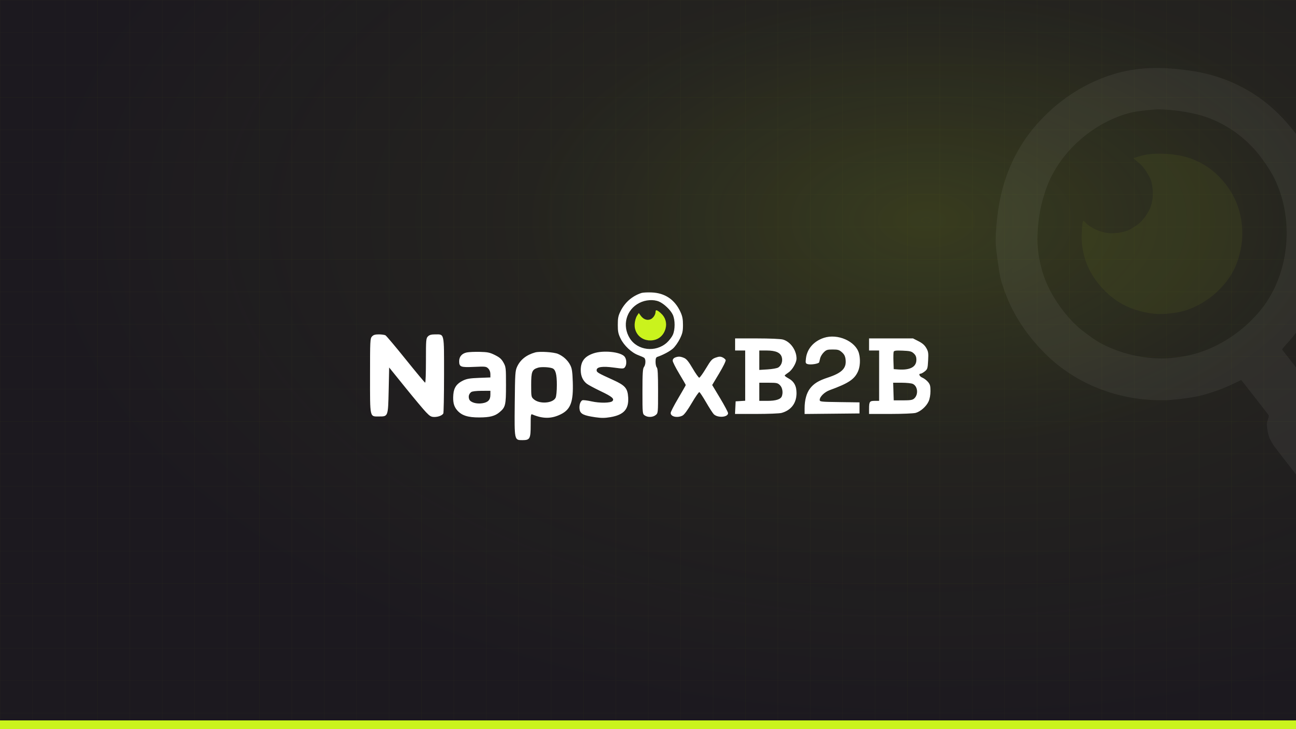 Official NapsixB2B YouTube banner
